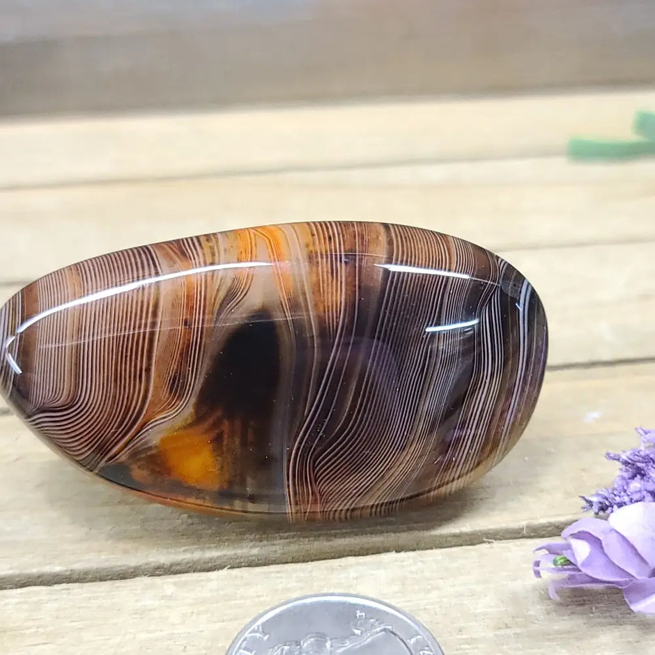 SardOnyx Palms - Medium - 35. SardOnyx Palm - PALM