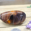 SardOnyx Palms - Medium - 35. SardOnyx Palm - PALM