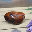 SardOnyx Palms - Medium - 37. SardOnyx Palm - PALM