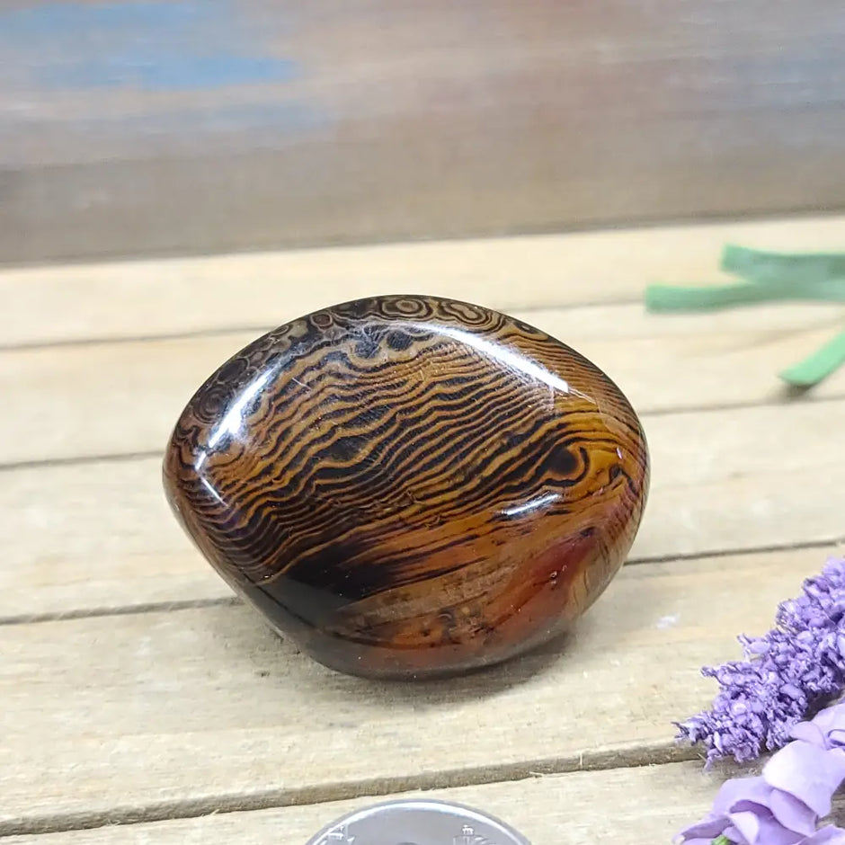 SardOnyx Palms - Medium - 38. SardOnyx Palm - PALM