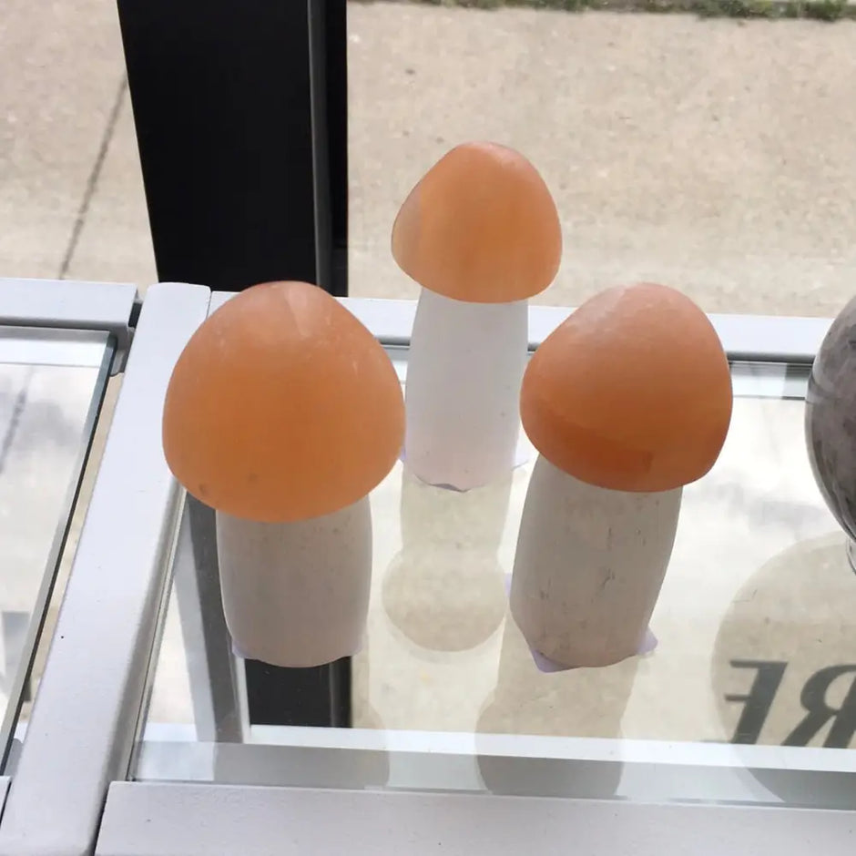 Selenite Mushroom - Carvings