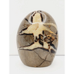 🌕✨ Septarian Free Form – Earth Energy and Ancient Wisdom 🌍💛 - 2 - 4.5’’ - Free Forms