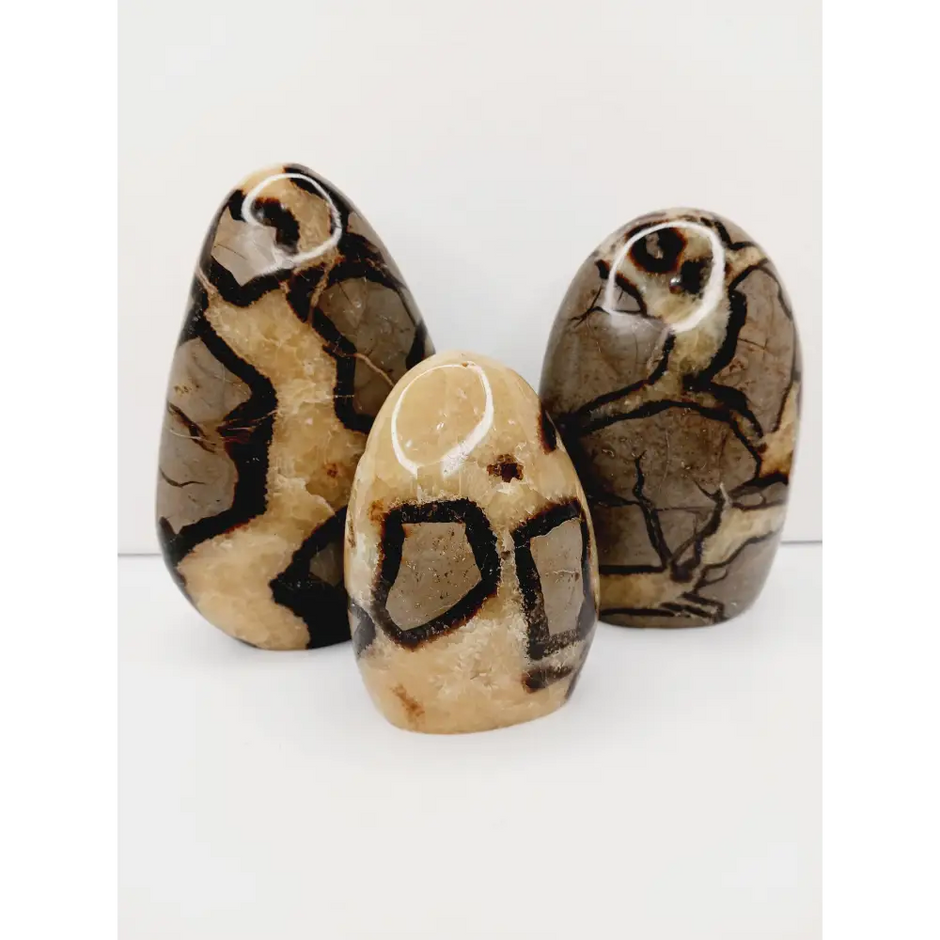 🌕✨ Septarian Free Form – Earth Energy and Ancient Wisdom 🌍💛 - Free Forms