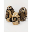 🌕✨ Septarian Free Form – Earth Energy and Ancient Wisdom 🌍💛 - Free Forms