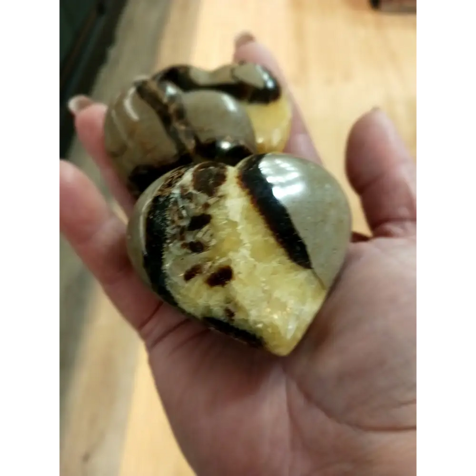 💛🤎 Septarian Hearts (approx. 2’’) – Nurturing Protection and Ancient Wisdom! 🤎💛 - Carvings