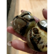 💛🤎 Septarian Hearts (approx. 2’’) – Nurturing Protection and Ancient Wisdom! 🤎💛 - Carvings