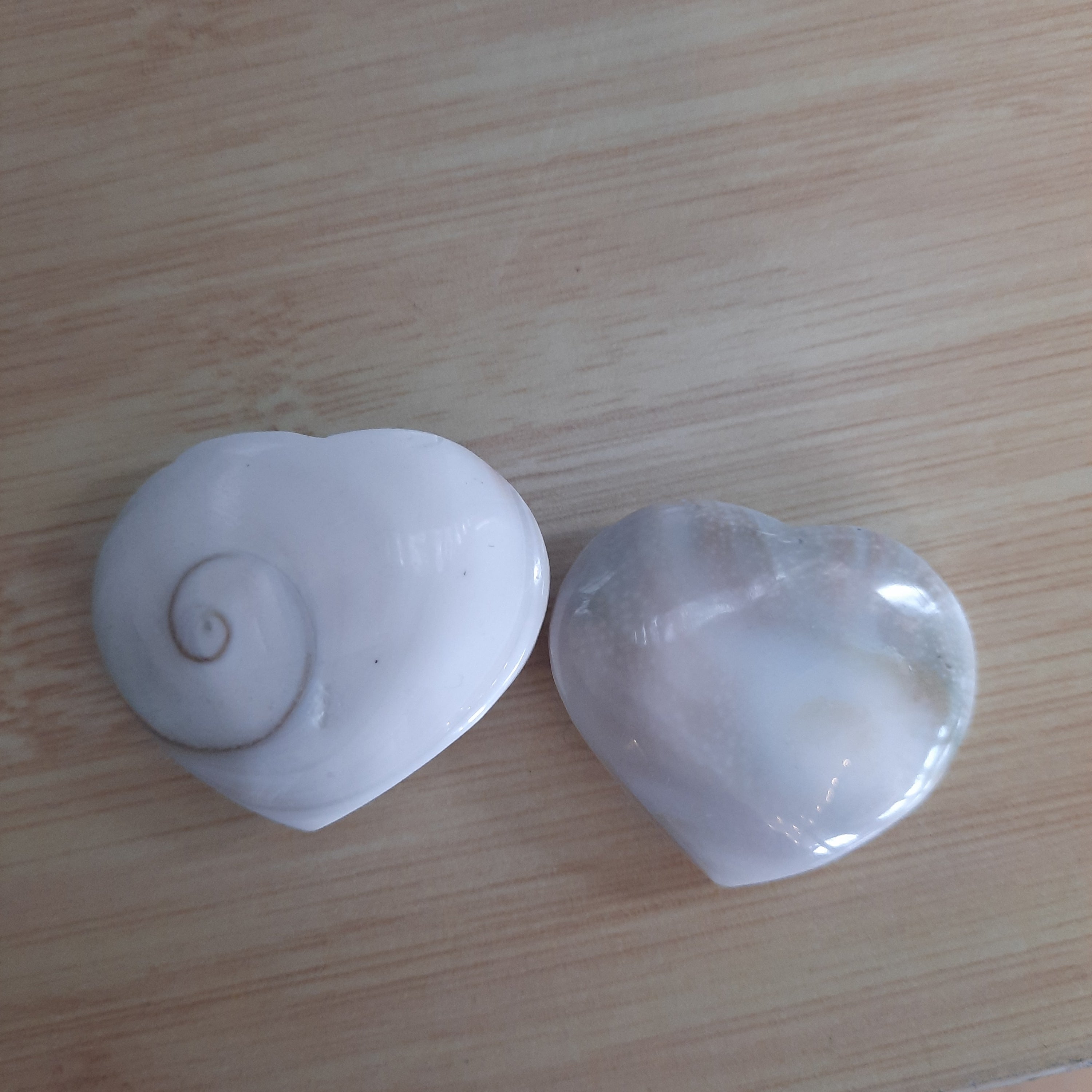 Shiva Shells Tumble - Tumbles
