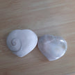 Shiva Shells Tumble - Tumbles