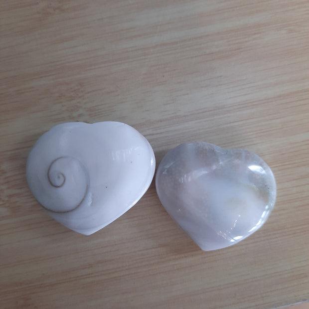 Shiva Shells Tumble - Tumbles