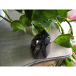🌫️✨ Smokey Quartz Free Form – Grounding and Protection ✨🖤 - 5 - Free Forms