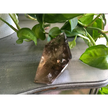 🌫️✨ Smokey Quartz Free Form – Grounding and Protection ✨🖤 - 7 - Free Forms