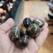 STROMATOLITE TUMBLES - Tumbles